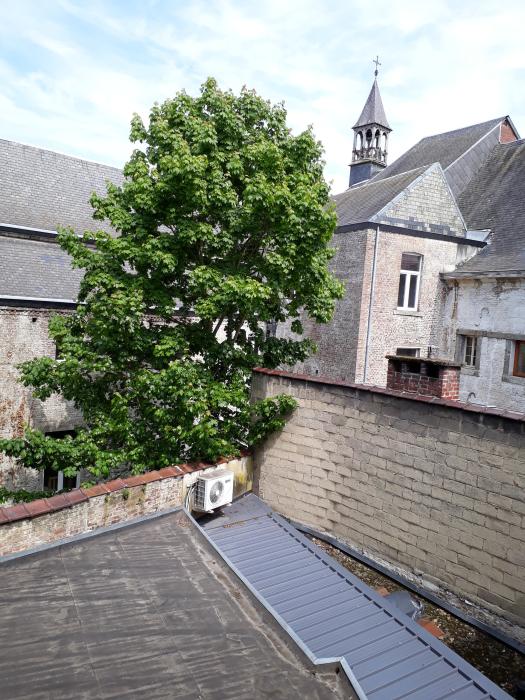 Vue&#x20;sur&#x20;jardin